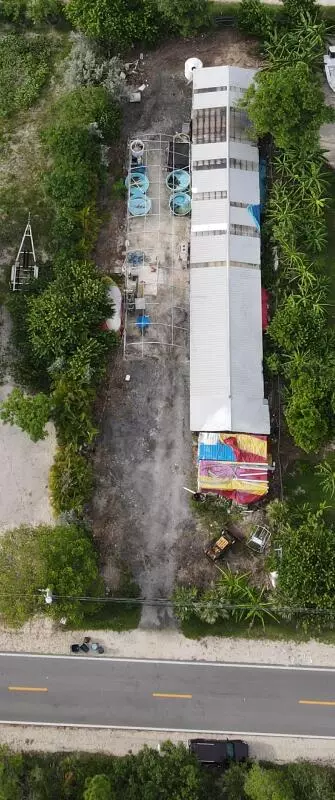 29431 Big Pine St, Big Pine Key, FL 33043