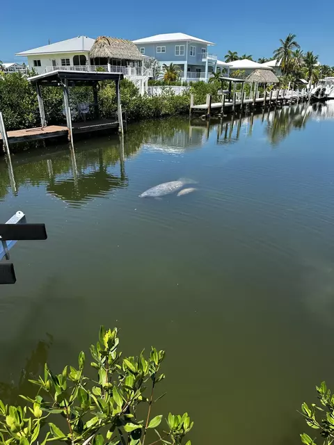 View/Area - 132 Coco Plum Dr, Marathon, FL 33050 photo 4 of 10