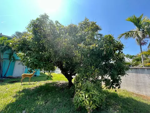 2 Tamarind Dr, Key West, FL 33040 photo 38
