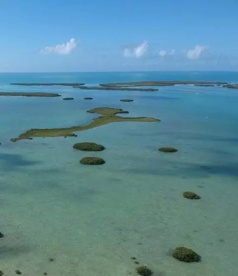 Vacant Land, Saddle Bunch, FL 33040 photo 2
