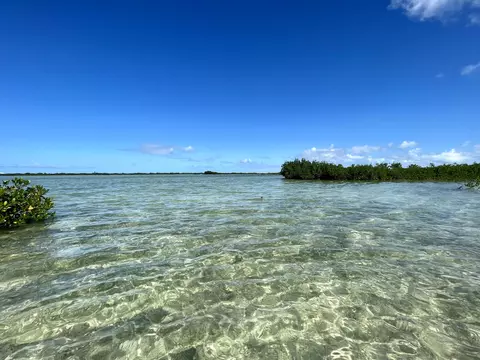 Vacant Land, Saddle Bunch, FL 33040 photo 6