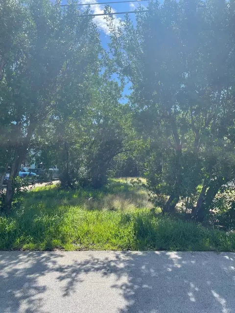 Ojibway Avenue, Plantation Key, FL 33070