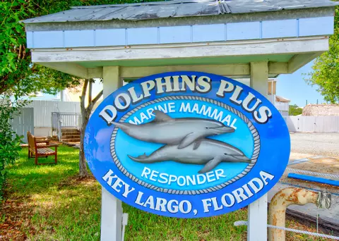 23 Corrine Pl, Key Largo, FL 33037 photo 54