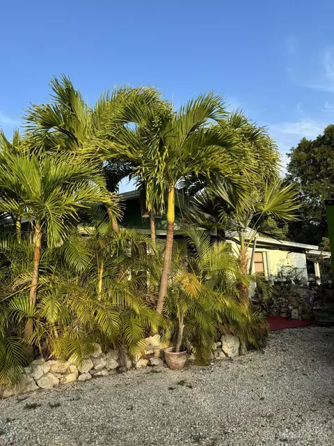 Other - 350 E Sandy Cir, Big Pine Key, FL 33043 photo 4 of 5
