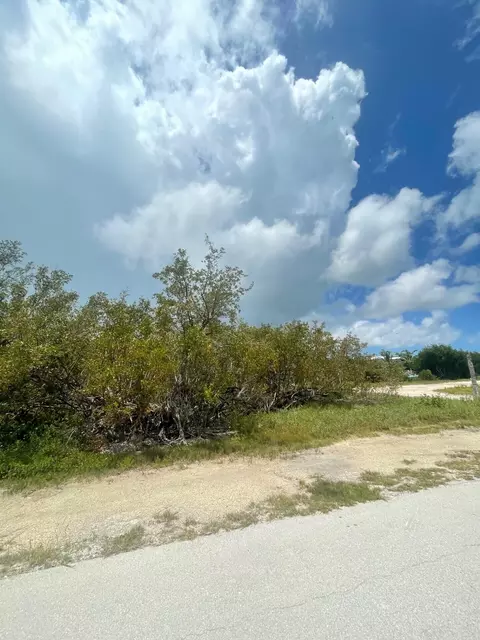 lot13 Thatch Ln, Cudjoe Key, FL 33042