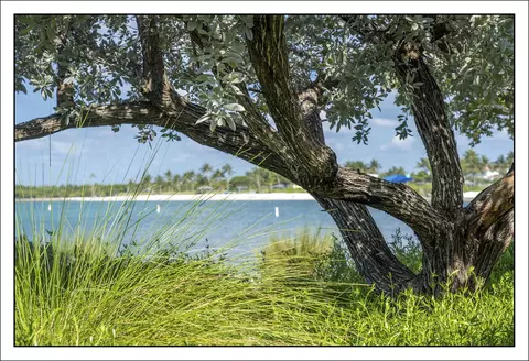 24 Treasure Rd, Marathon, FL 33050 photo 6