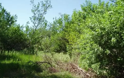Vacant Lot Lot 16 Cruton Ave, Marathon, FL 33050