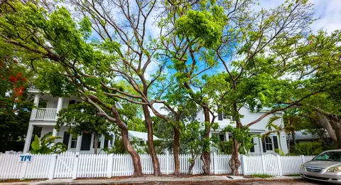 714 Passover Ln, Key West, FL 33040