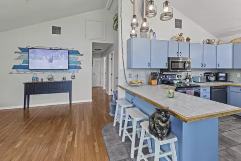 30809 Witters Ln, Big Pine Key, FL 33043 photo 7