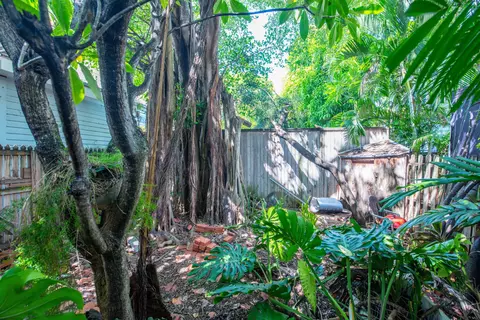 906 Packer St, Key West, FL 33040 photo 15