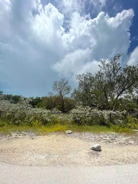 0 Thatch Ln, Cudjoe Key, FL 33042