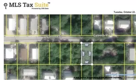 lot32 Caloosa St, Sugarloaf Key, FL 33042