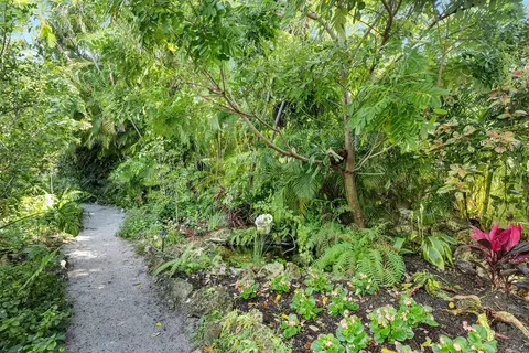Exterior - 3615 Eagle Ave, Key West, FL 33040 photo 16 of 17
