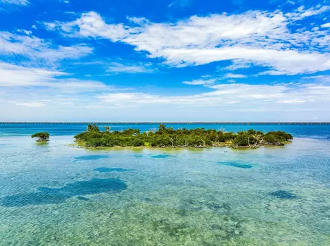 Molasses Keys, Marathon, FL 33050 photo 13