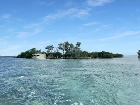 Molasses Keys, Marathon, FL 33050 photo 36