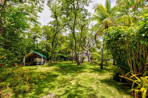 132 E Shore Dr, Key Largo, FL 33037 photo 3