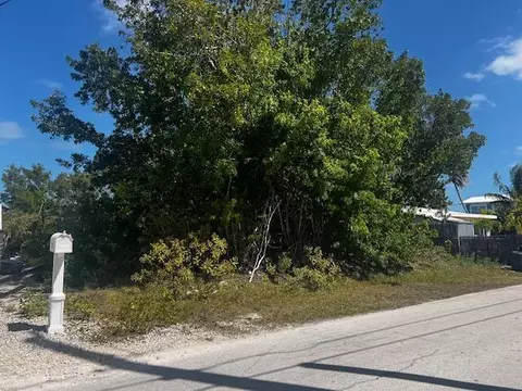 31145 Hibiscus Dr, Big Pine Key, FL 33043