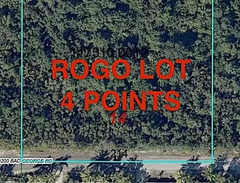 4 Rogo Points Bad George Rd, Sugarloaf Key, FL 33042