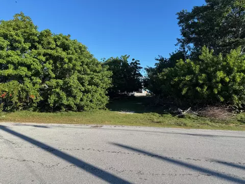 29141 Mango Ln, Big Pine Key, FL 33043