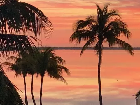 View/Area - 17249 E Bonefish Ln, Sugarloaf Key, FL 33042 photo 14 of 14