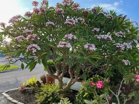 55 Boca Chica Rd # 93, Key West, FL 33040
