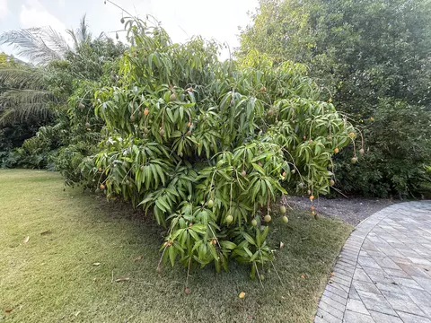 Exterior - 29 Key Haven Rd, Key West, FL 33040 photo 17 of 22