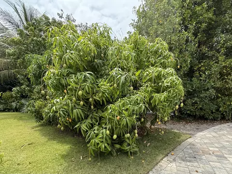 Exterior - 29 Key Haven Rd, Key West, FL 33040 photo 20 of 22