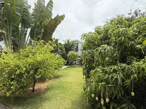 Exterior - 29 Key Haven Rd, Key West, FL 33040 photo 14 of 22