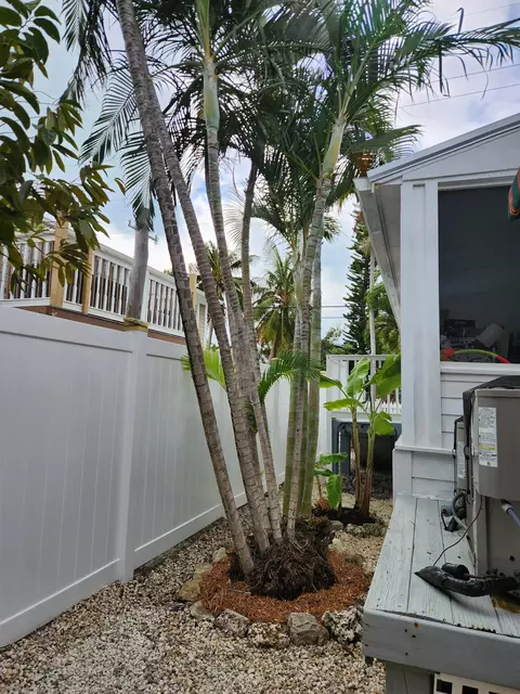 Exterior - 331 Ave F, Key West, FL 33040 photo 2 of 6