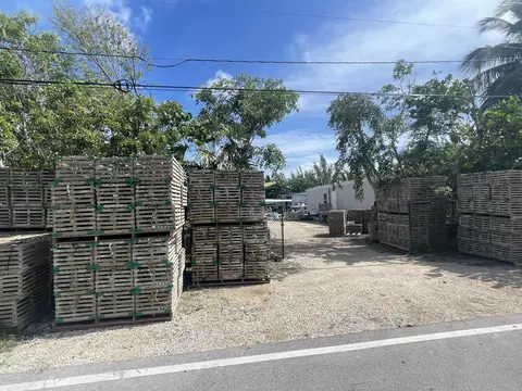 29517 Big Pine St, Big Pine, FL 33043