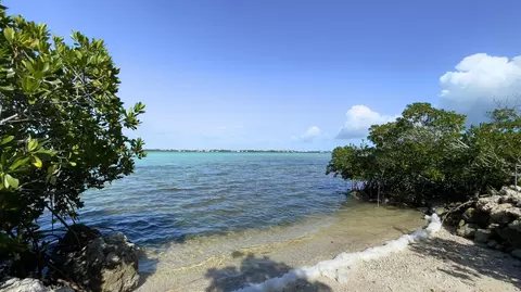 View/Area - 813 2nd St, Key West, FL 33040 photo 2 of 7