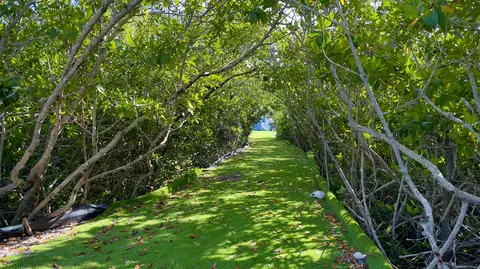 Other - 813 2nd St, Key West, FL 33040 photo 13 of 14