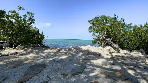 View/Area - 813 2nd St, Key West, FL 33040 photo 3 of 7