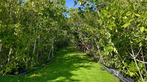 Other - 813 2nd St, Key West, FL 33040 photo 2 of 14