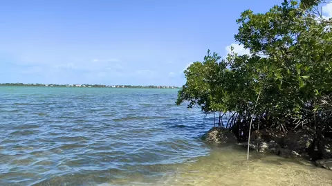 View/Area - 813 2nd St, Key West, FL 33040 photo 5 of 7