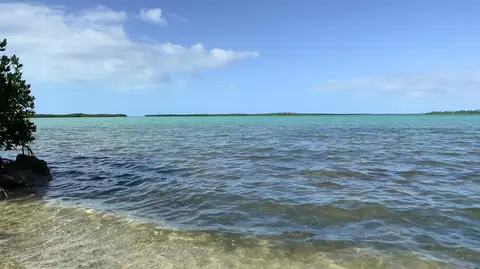 View/Area - 813 2nd St, Key West, FL 33040 photo 6 of 7