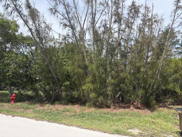 0 Lobstertail Rd, Big Pine Key, FL 33043