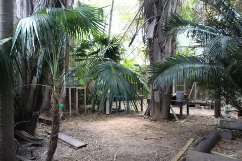 511 Tabby Ln, Key West, FL 33040 photo 4