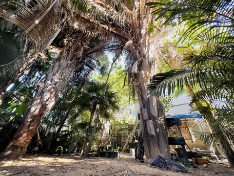 511 Tabby Ln, Key West, FL 33040 photo 3