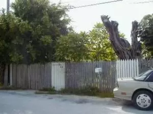 22 El Monte, Key West, FL 33040 photo 3