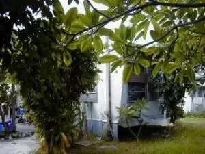 22 El Monte, Key West, FL 33040 photo 2