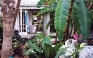 1104 Packer, Key West, FL 33040 photo 7
