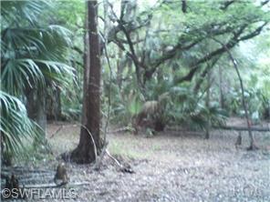 1864 Sunset, Labelle, FL 33935 photo 3