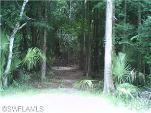 1864 Sunset, Labelle, FL 33935 photo 1
