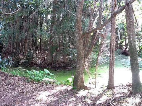 1570 Case Rd, Labelle, FL 33935 photo 3