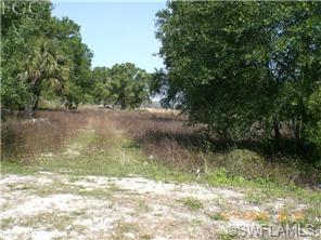 1080 Case Rd, Labelle, FL 33935 photo 1