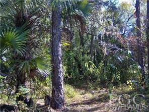 1116 Williams Rd, Moore Haven, FL 33471 photo 1