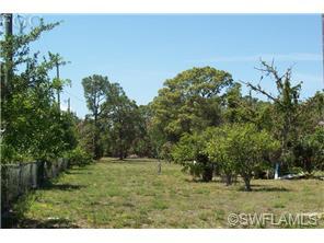1317 Carson Rd, Immokalee, FL 34142 photo 5