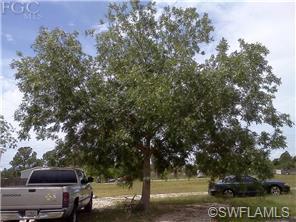 1648 Crescent Ave, Labelle, FL 33935 photo 3