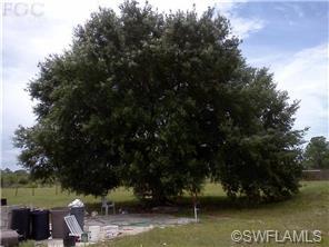 1648 Crescent Ave, Labelle, FL 33935 photo 6